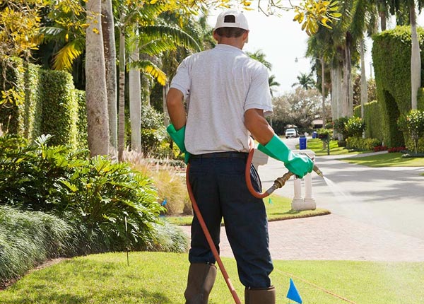 About Aurelia IA Pest Control